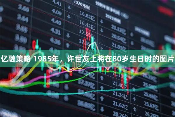 亿融策略 1985年，许世友上将在80岁生日时的图片