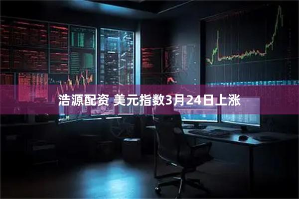 浩源配资 美元指数3月24日上涨