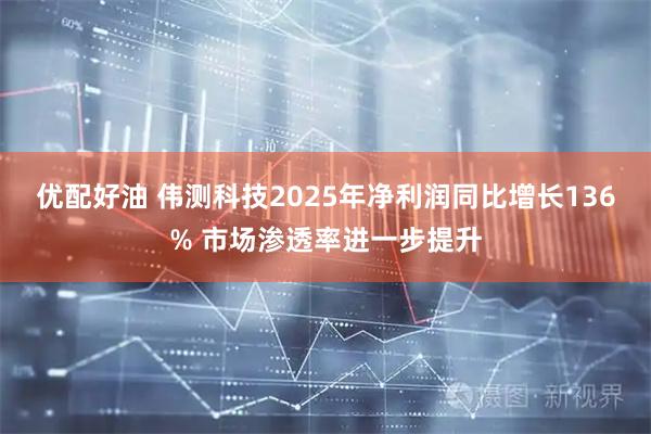 优配好油 伟测科技2025年净利润同比增长136% 市场渗透率进一步提升