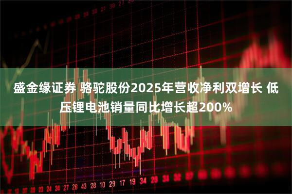 盛金缘证券 骆驼股份2025年营收净利双增长 低压锂电池销量同比增长超200%