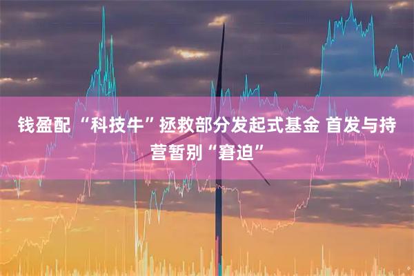 钱盈配 “科技牛”拯救部分发起式基金 首发与持营暂别“窘迫”