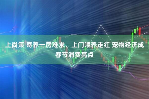 上尚策 寄养一房难求、上门喂养走红 宠物经济成春节消费亮点
