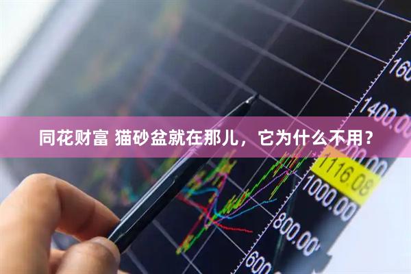 同花财富 猫砂盆就在那儿，它为什么不用？