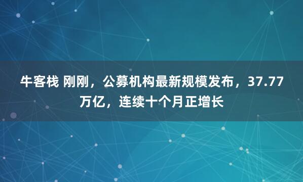 牛客栈 刚刚,公募机构最新规模发布,37.77万亿,连续十个月正增长