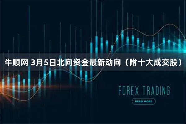 牛顺网 3月5日北向资金最新动向（附十大成交股）