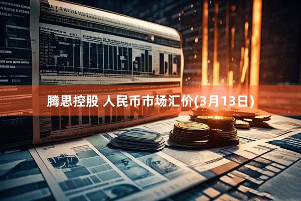 腾思控股 人民币市场汇价(3月13日)