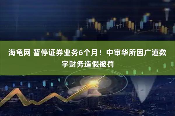 海龟网 暂停证券业务6个月！中审华所因广道数字财务造假被罚