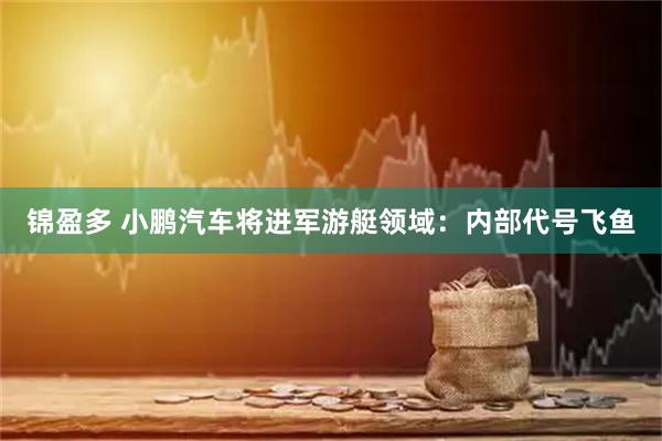 锦盈多 小鹏汽车将进军游艇领域：内部代号飞鱼