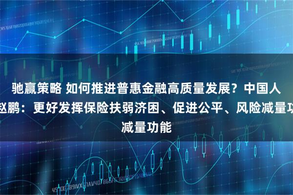驰赢策略 如何推进普惠金融高质量发展？中国人保赵鹏：更好发挥保险扶弱济困、促进公平、风险减量功能