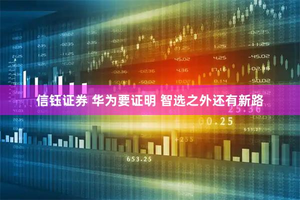 信钰证券 华为要证明 智选之外还有新路