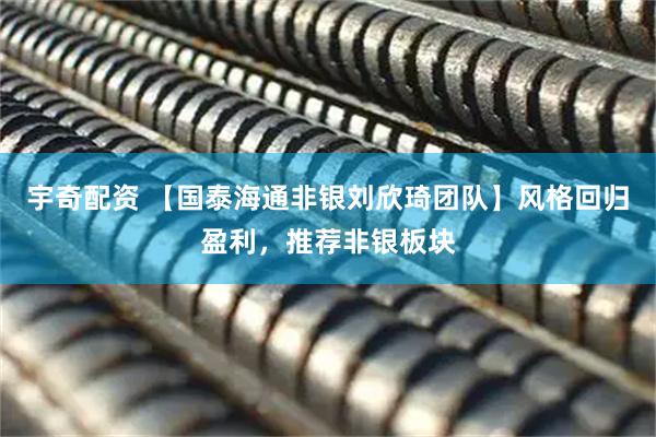 宇奇配资 【国泰海通非银刘欣琦团队】风格回归盈利，推荐非银板块