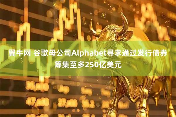 翼牛网 谷歌母公司Alphabet寻求通过发行债券筹集至多250亿美元