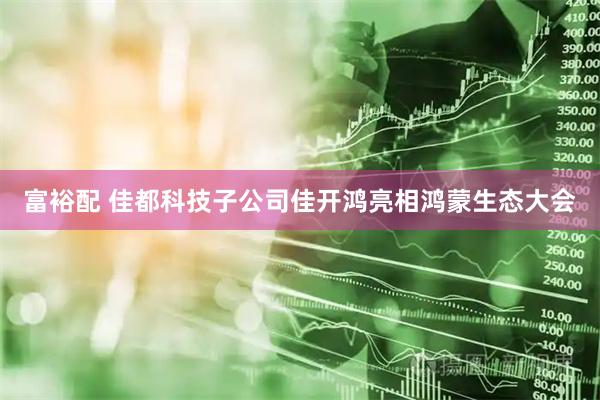 富裕配 佳都科技子公司佳开鸿亮相鸿蒙生态大会
