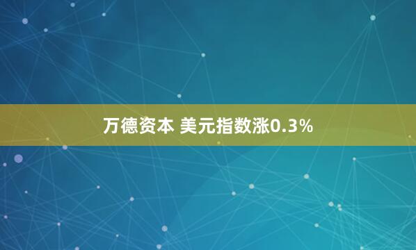 万德资本 美元指数涨0.3%